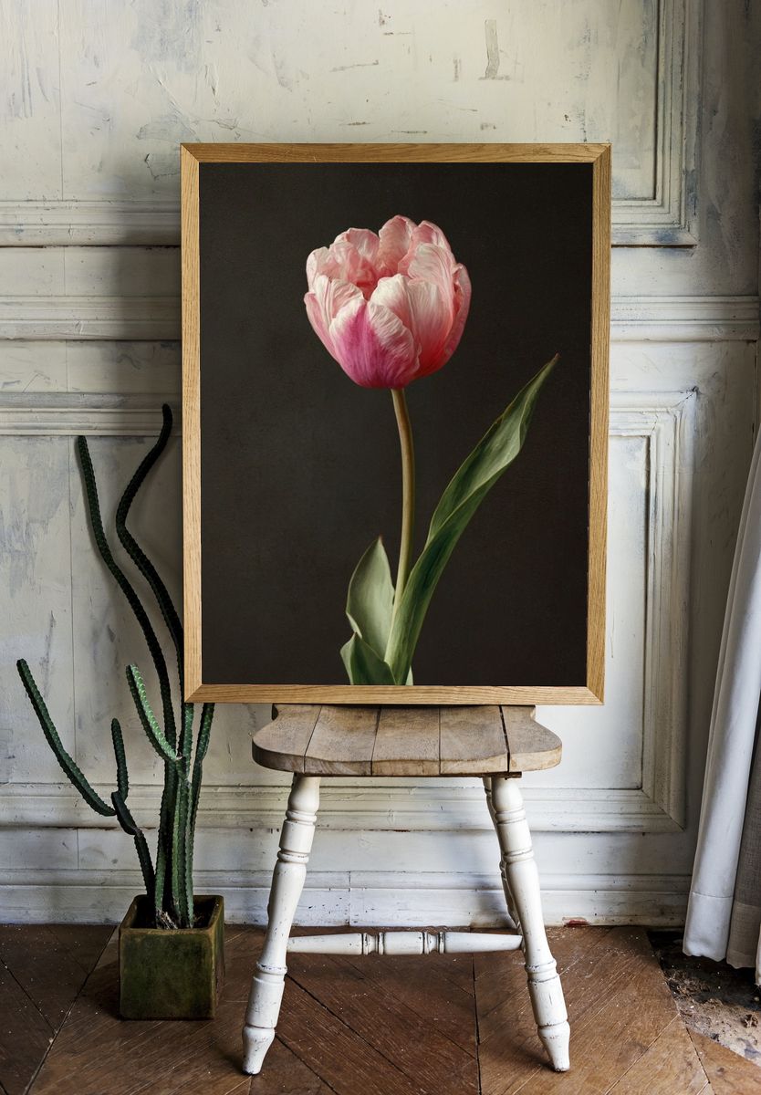 Pink Tulip — Botanical Print room preview