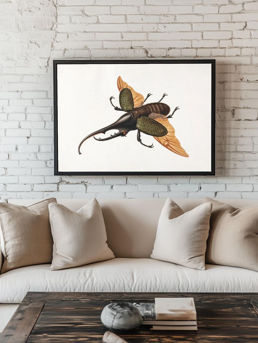 Stag Beetle — Botanical Print. — room view 1