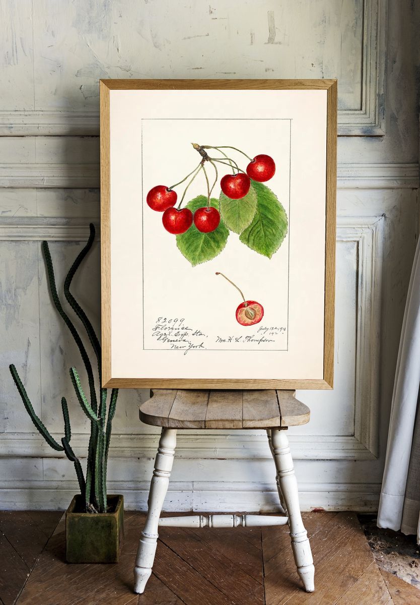 Cherry Blossom Botanical Print room preview