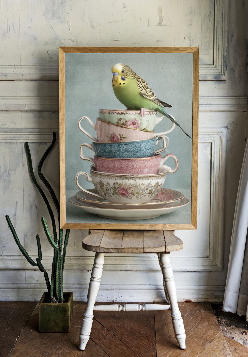 Budgie Teacup Stack Illustration Print. — room view 1