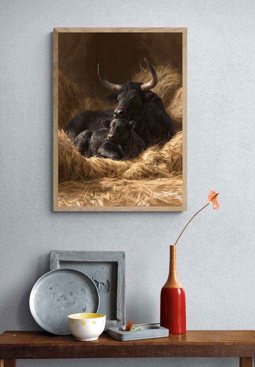 Resting Bull and Calf Illustration Poster. — room view 3