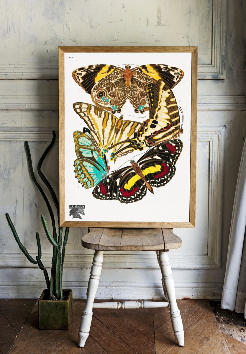 Butterfly Study Illustration Poster. room preview