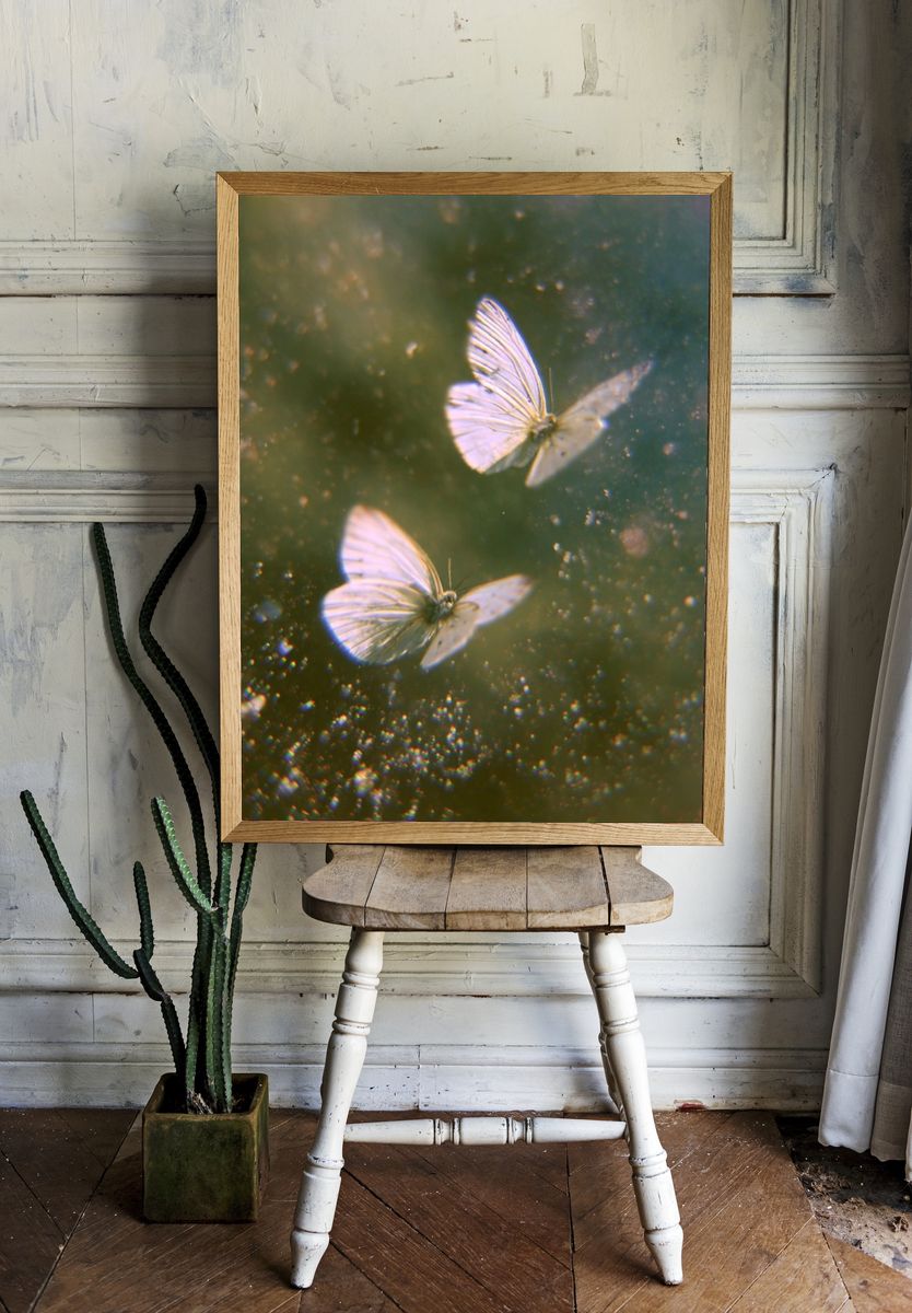 White Butterflies in Dreamy Flight Print room preview