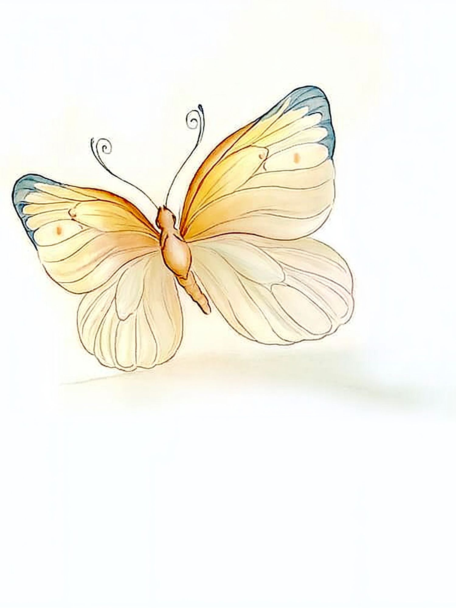 Butterfly Watercolor Print. poster detail