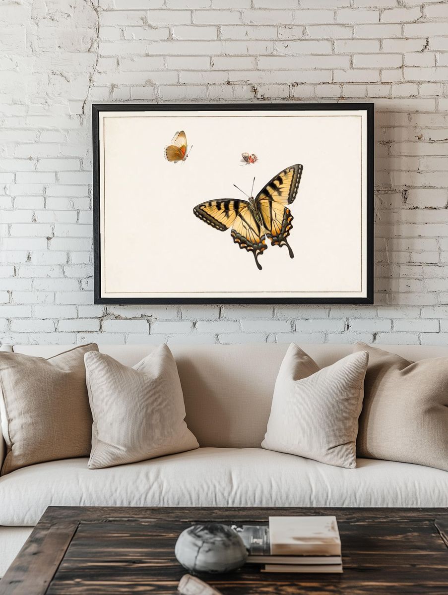 Three Butterflies Herman Henstenburgh (c.1683-c.1726). room preview
