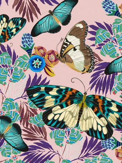 Exotic botanical butterfly background, vintage. poster print