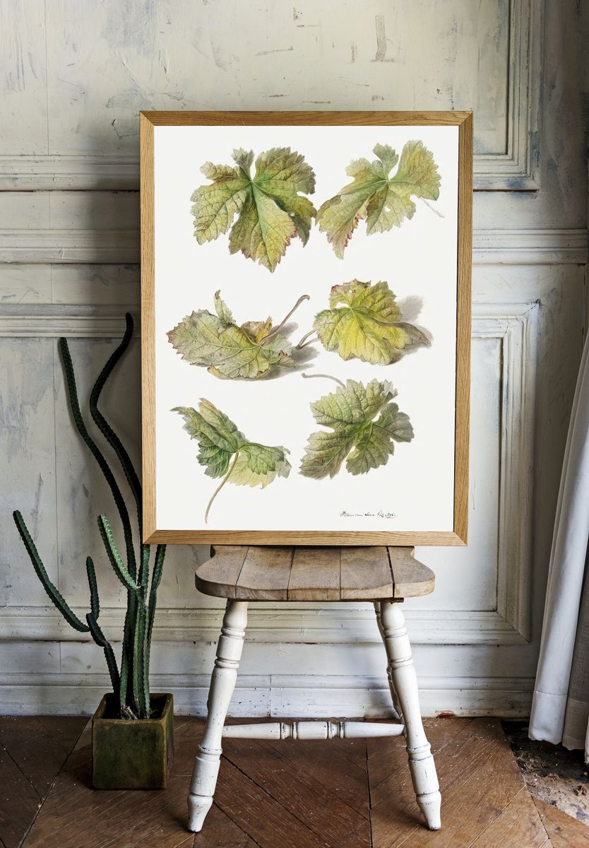 Botanical Leaves — Vintage Print room preview