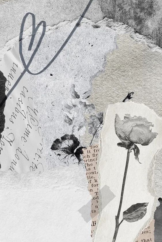 Black and White Floral Collage Poster. poster — illustration art