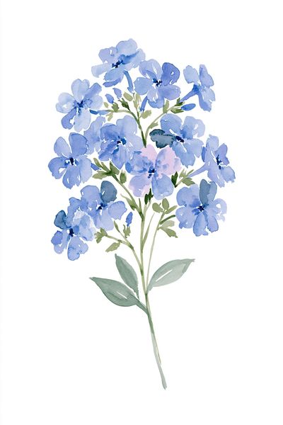 Blue Wildflower Watercolor Print.