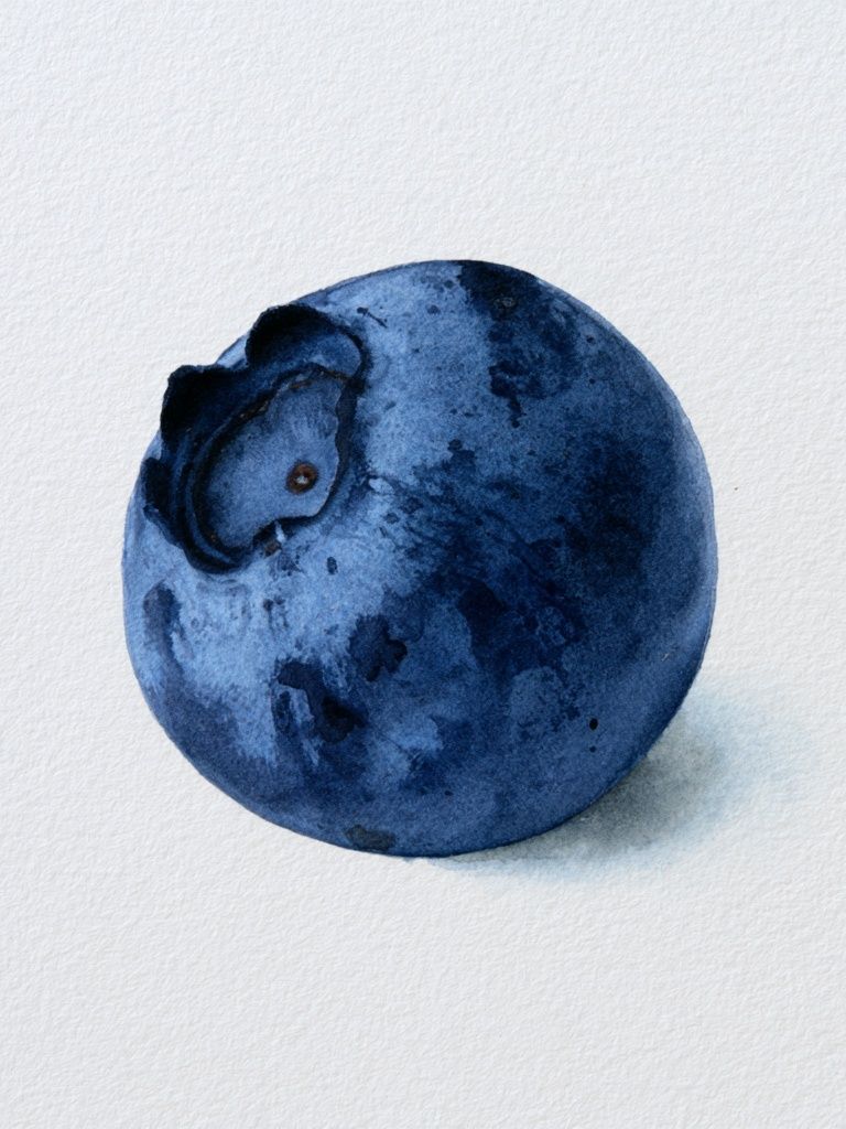 Blueberry Watercolor Print. poster detail