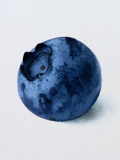 Blueberry Watercolor Print. poster