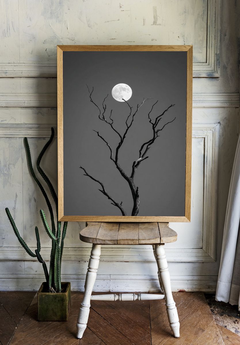 Moonlit Tree — Black and White Print. — room view 1