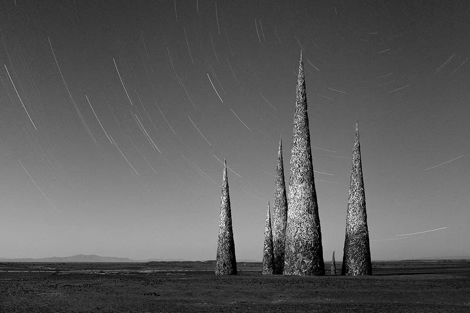 Starry Night Spires — Black-White Print. poster detail