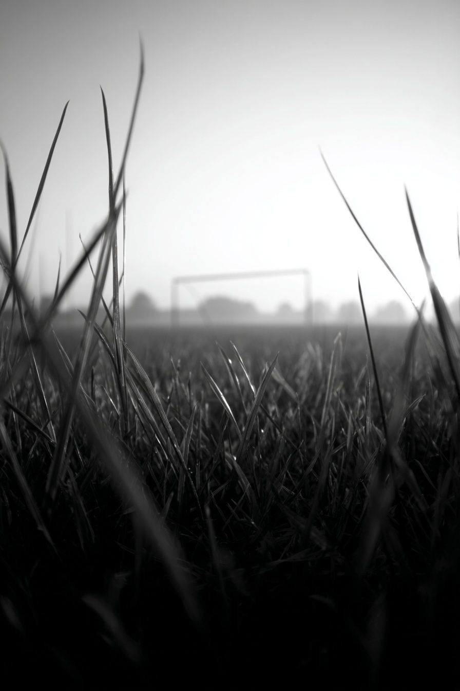 Soccer Field at Dawn — Black-White Print. poster detail