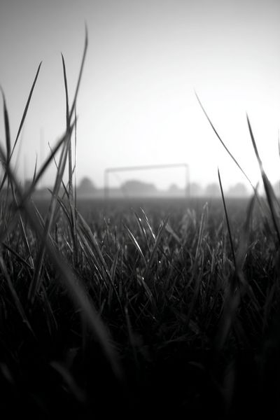 Soccer Field at Dawn — Black-White Print. poster print