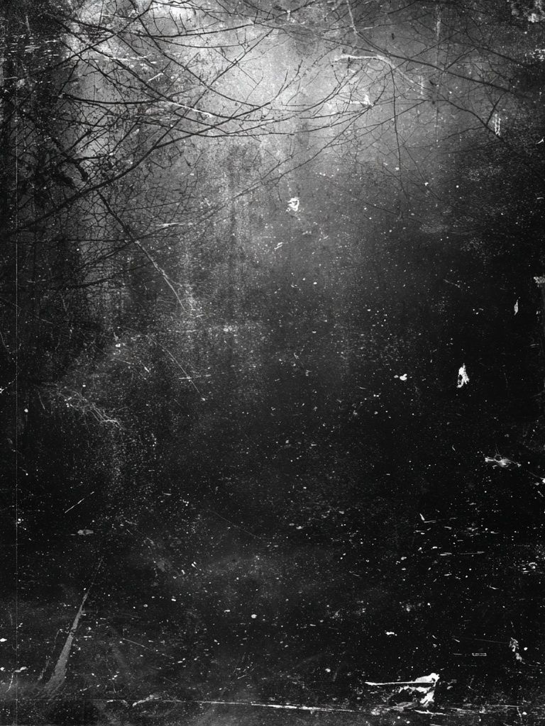 Misty Forest — Black-White Print. poster detail