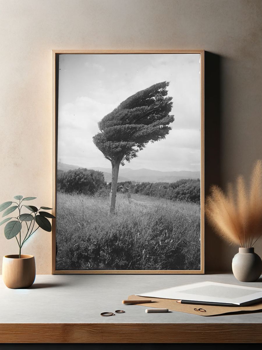 Wind-Swept Tree — Black and White Photography Poster. — room view 2
