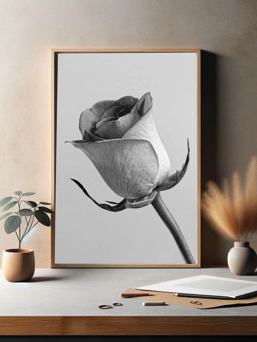 Black and White Rose Poster. — room view 2