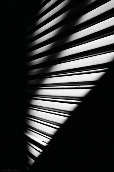 Shadows and Light — Black-White Photography Poster. poster print