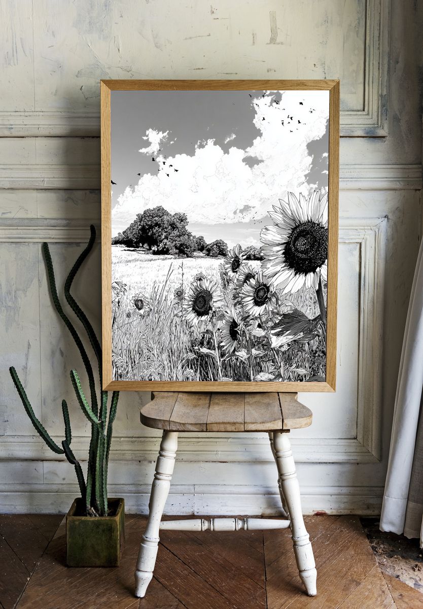Sunflower Field — Black and White Print. — room view 1