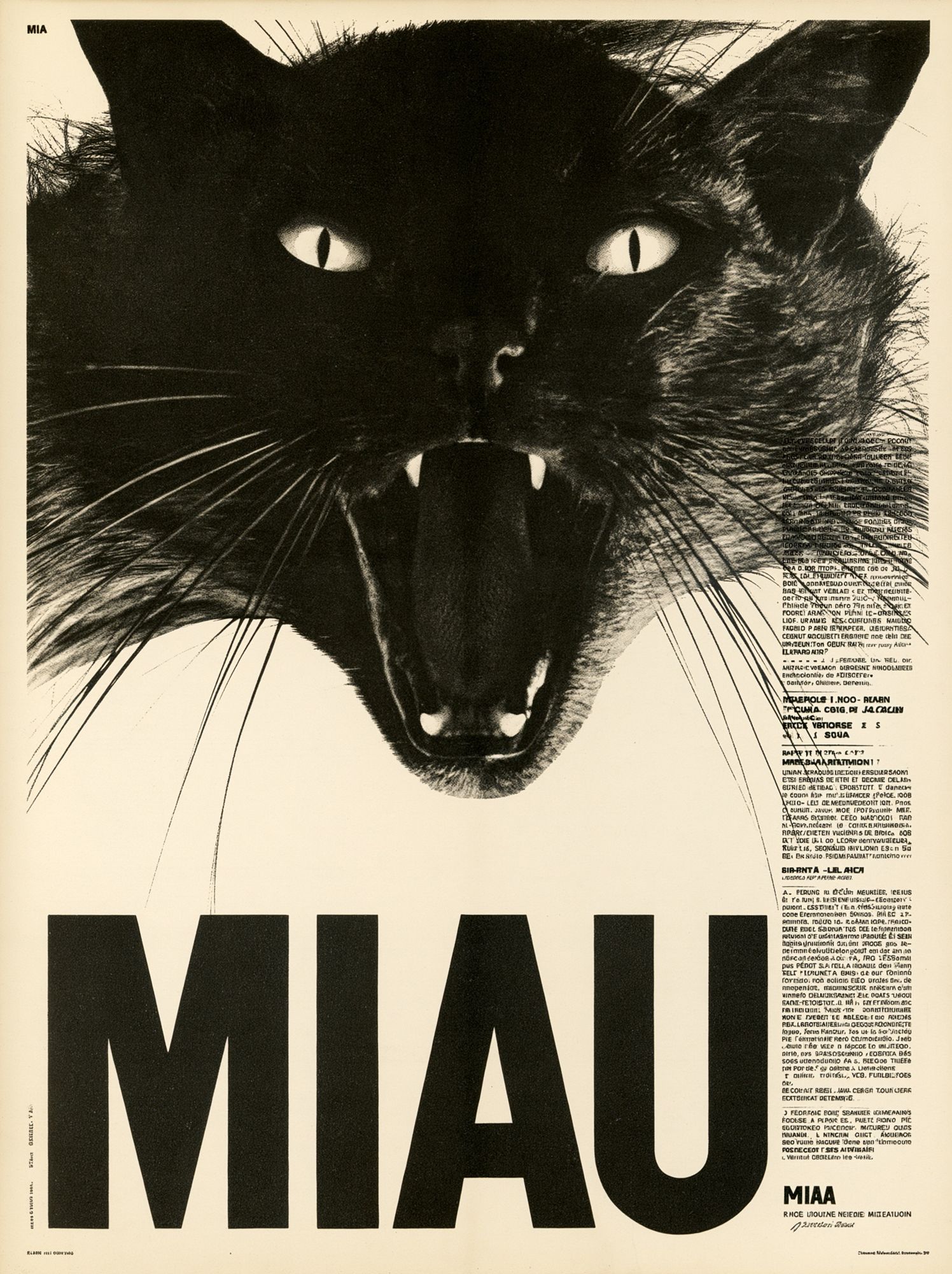 Black Cat Miau Typography Poster. poster — illustration art