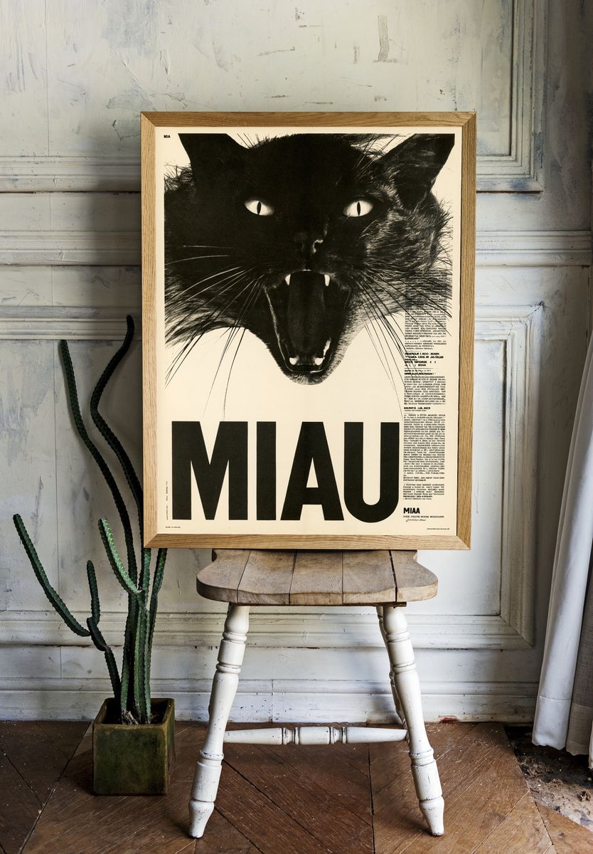Black Cat Miau Typography Poster. room preview