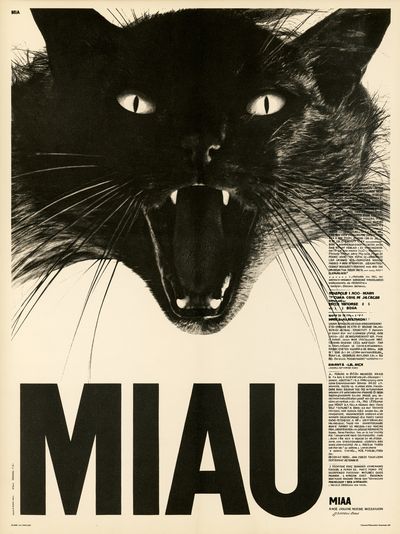 Black Cat Miau Typography Poster. poster print