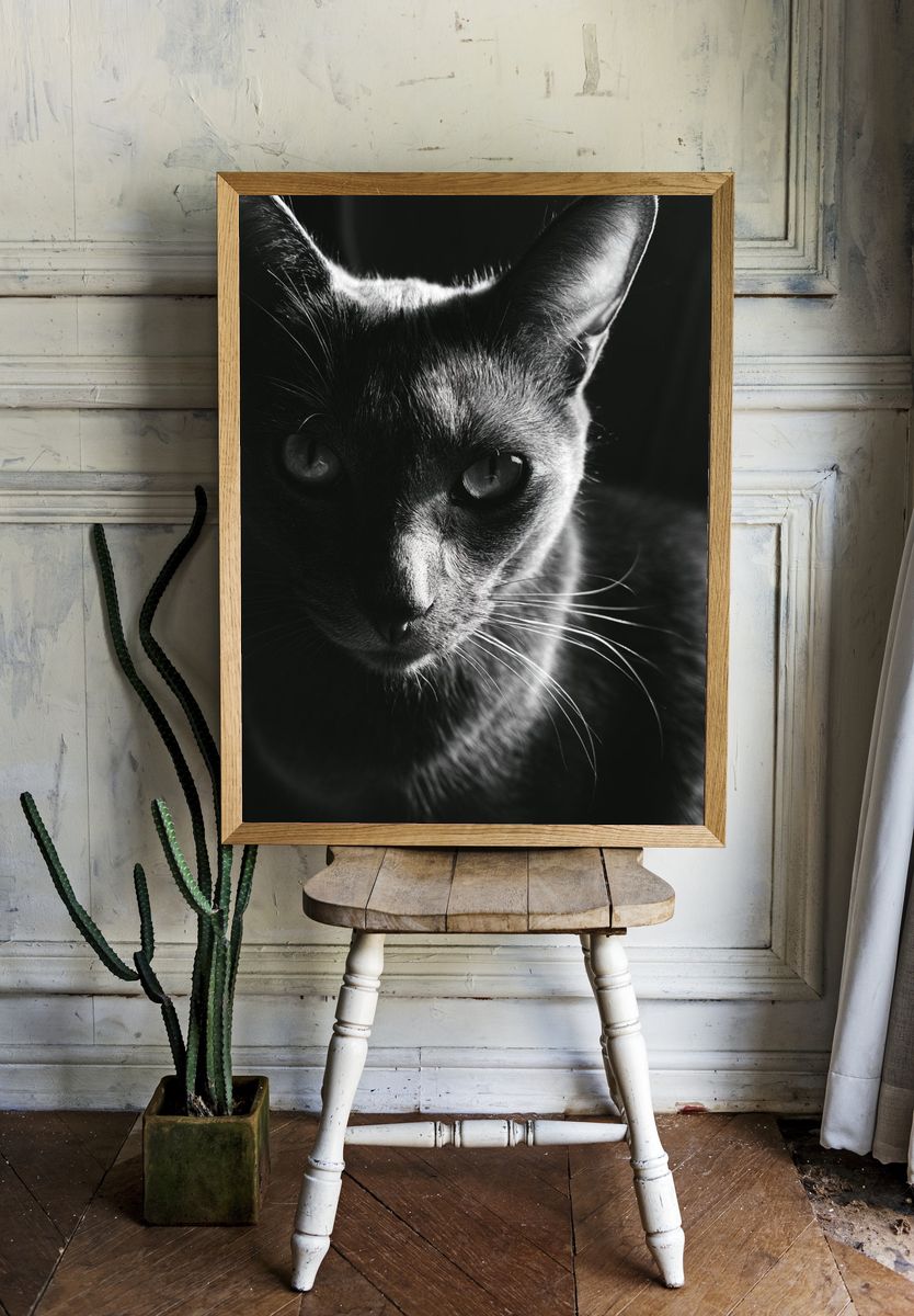 Black Cat Portrait Print. — room view 1