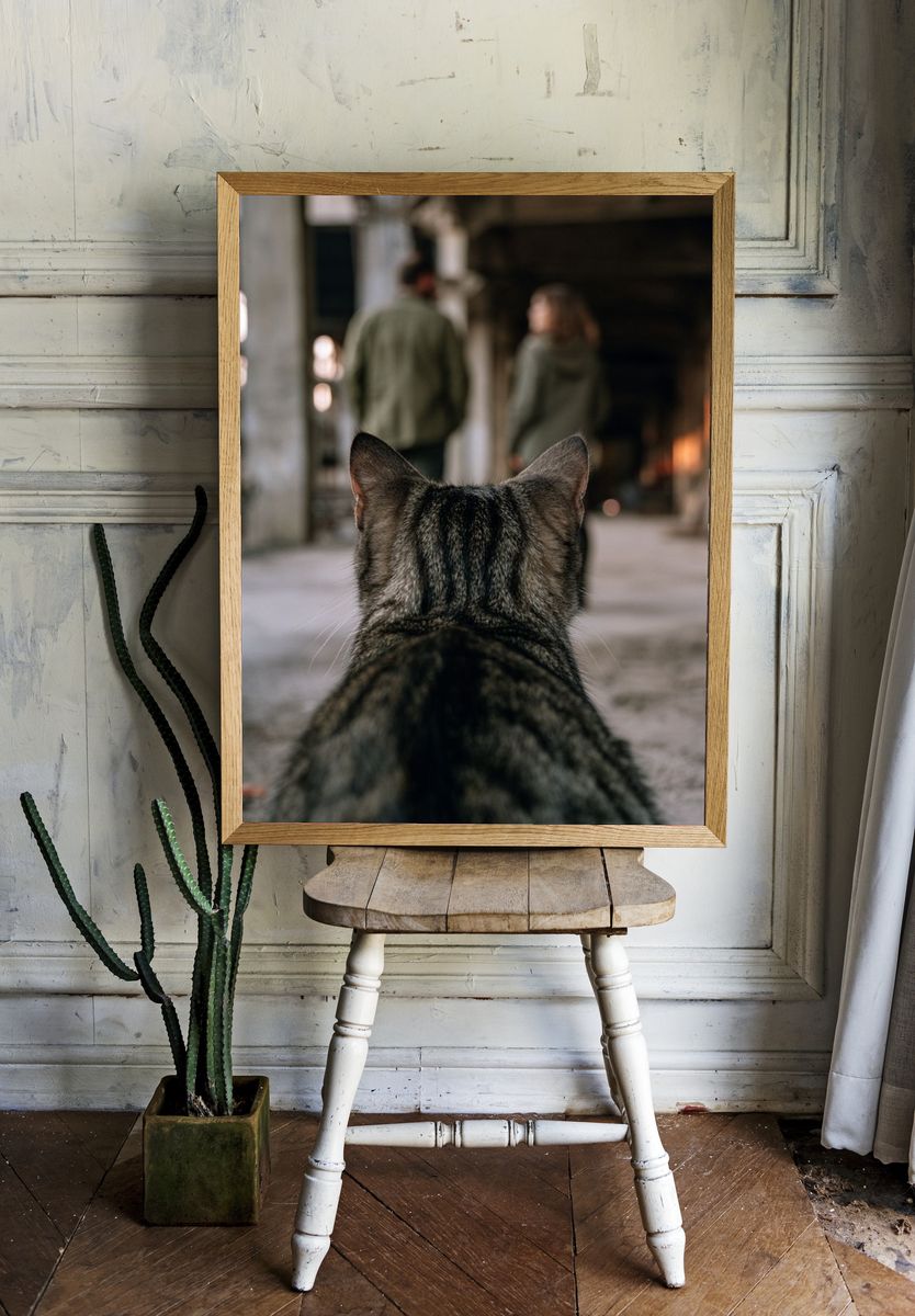 Cat in Industrial Hallway Photography Poster. room preview