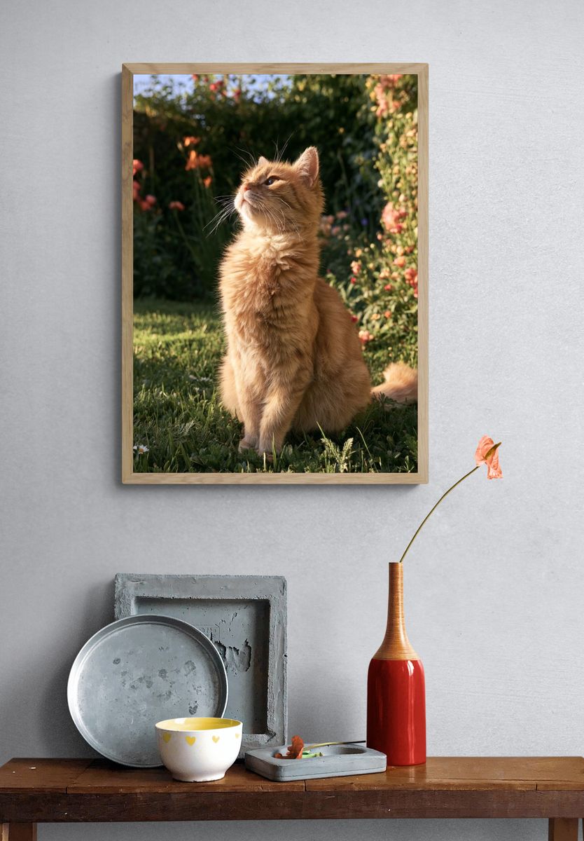 Ginger Cat in Garden Photography Poster. — room view 3