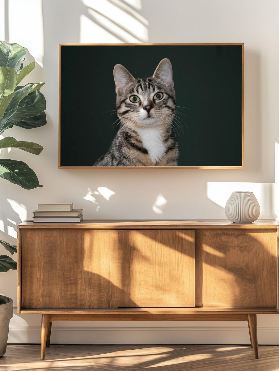 Tabby Cat Portrait Poster. — room view 3