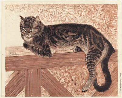 Resting Cat — Illustration Print
