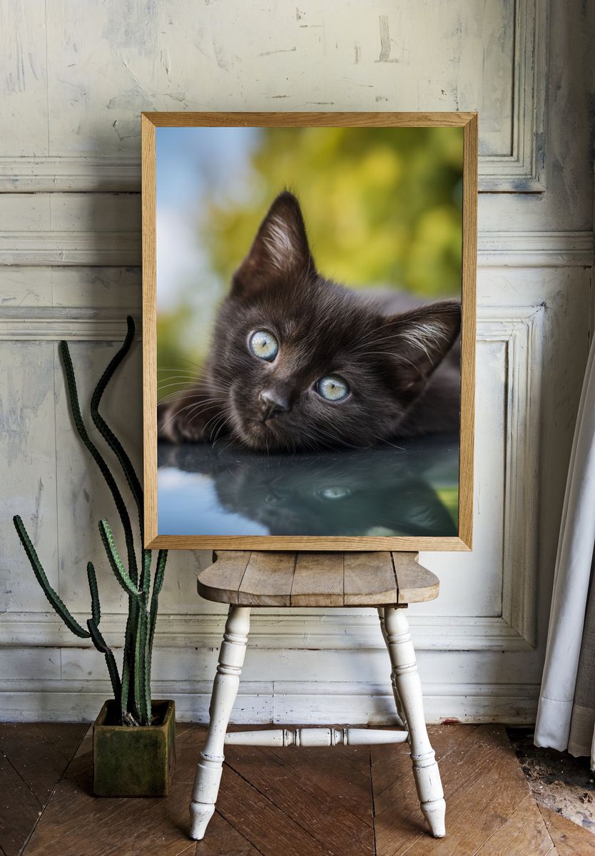 Black Kitten Portrait Poster room preview