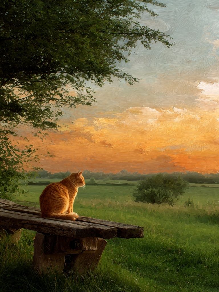 Orange Cat at Sunset Print. poster detail