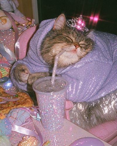 Sparkly Cat in Lavender Hoodie Poster. poster