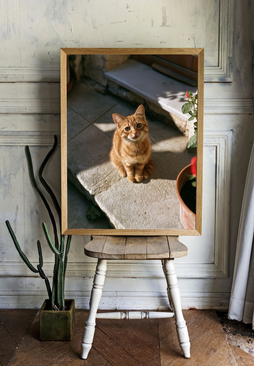 Ginger Cat in Sunlight Photography Poster. — room view 1