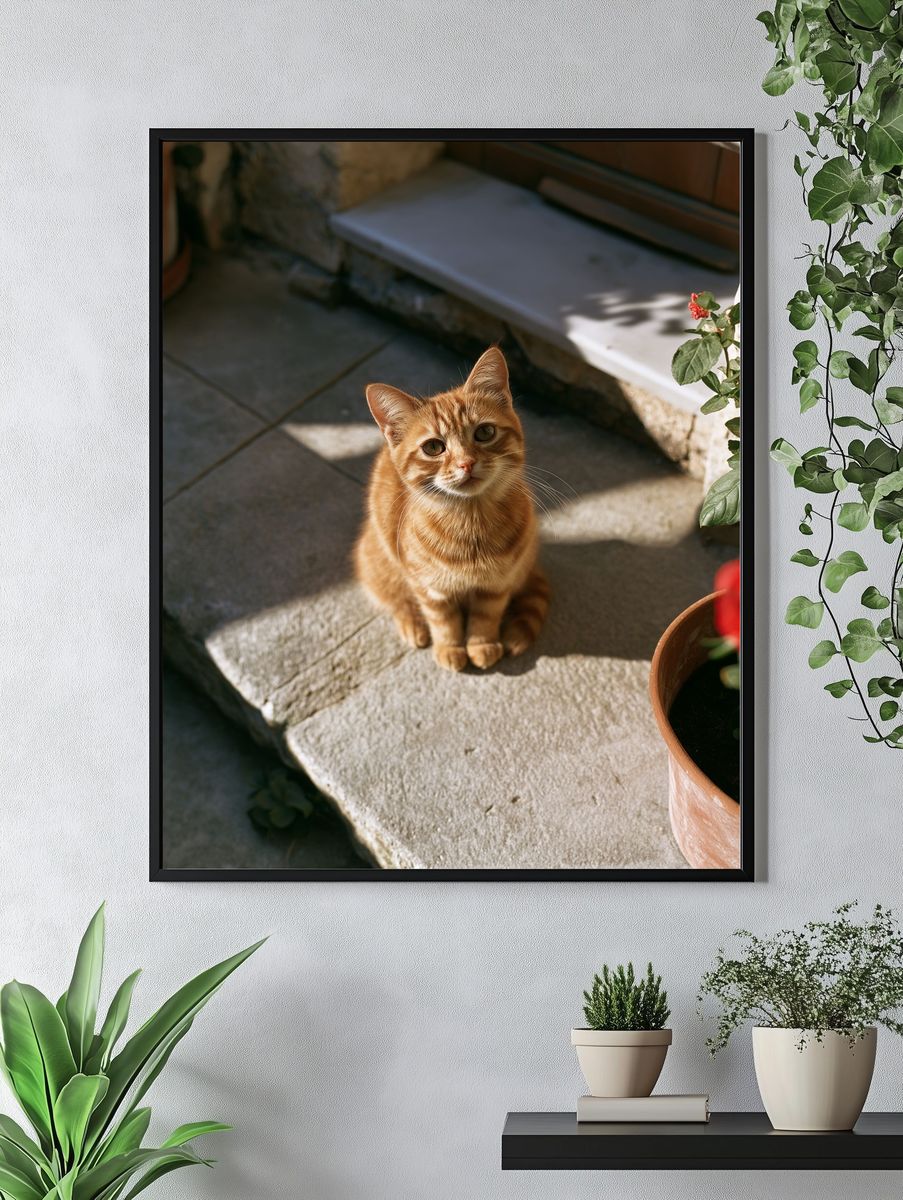 Ginger Cat in Sunlight Photography Poster. — room view 4