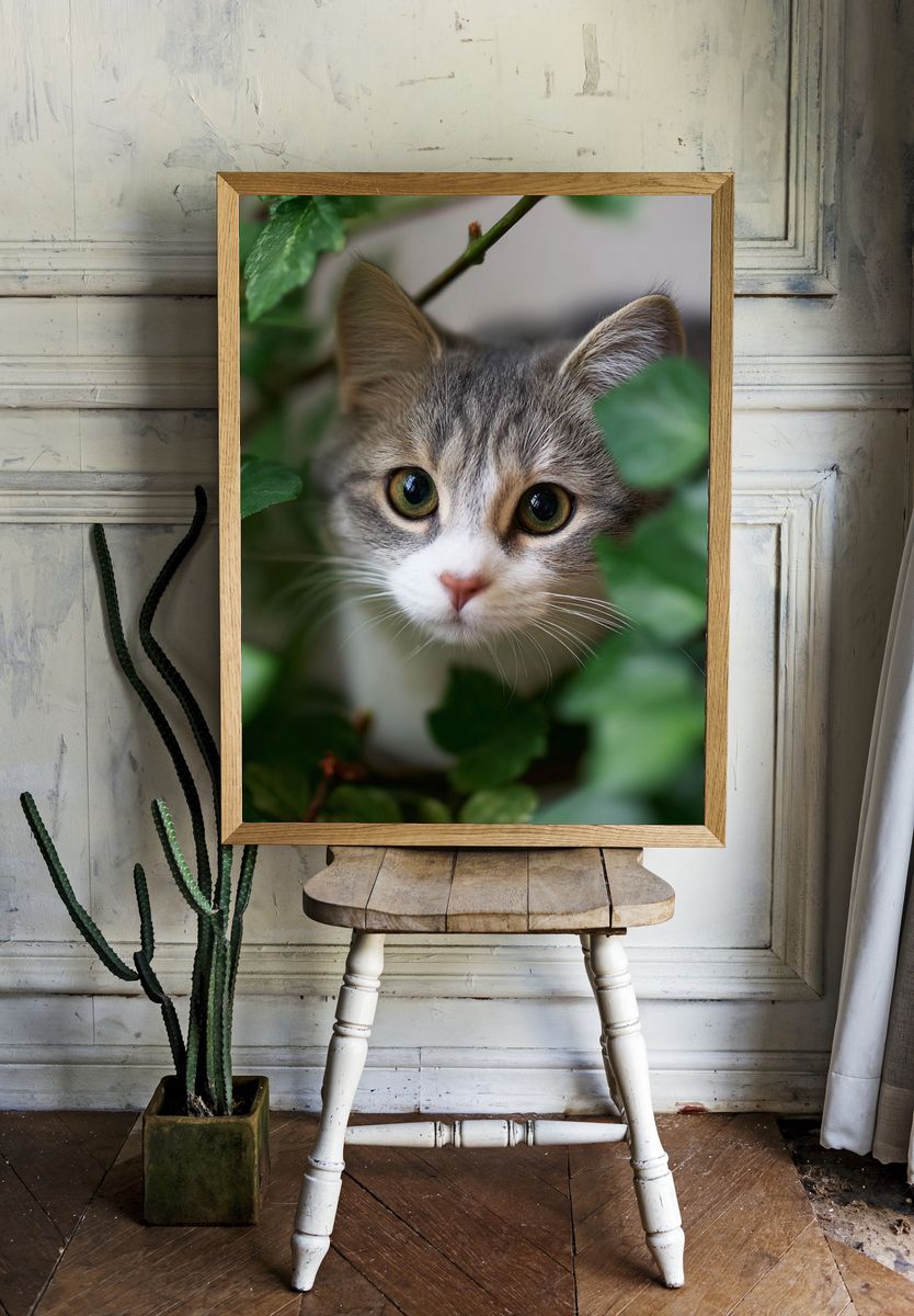 Curious Cat in Greenery Poster. — room view 1