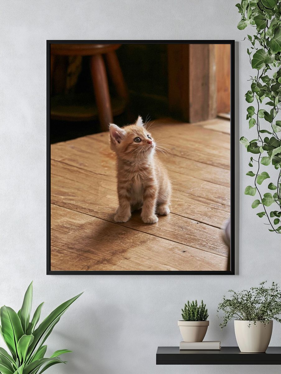 Curious Ginger Kitten Photography Poster. — room view 4