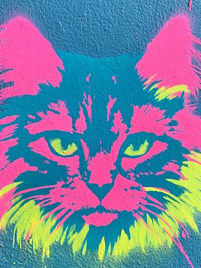 Neon Cat Street-Art Poster.