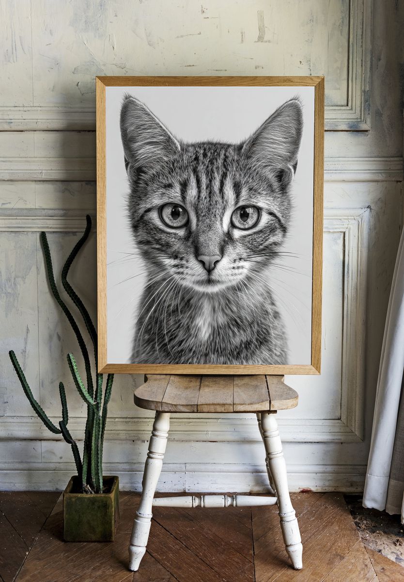 Cat Portrait — Black-White Print room preview