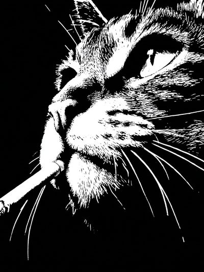 Smoking Cat Portrait Print. poster