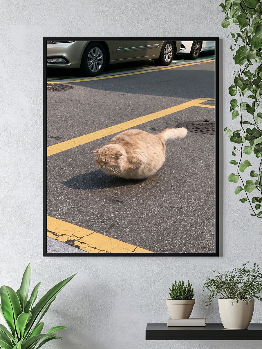 Fluffy Street Cat Photography Poster. — room view 4