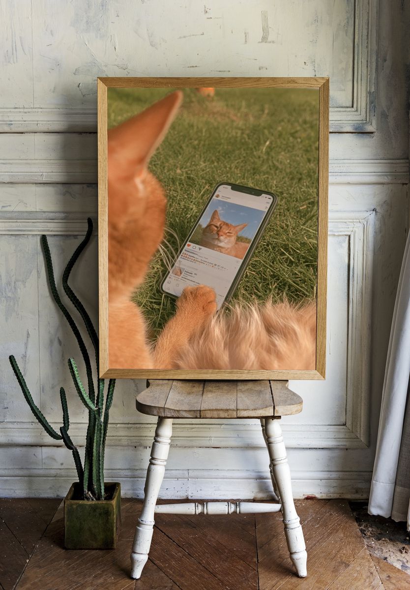 Cat Selfie Photography Poster. — room view 1