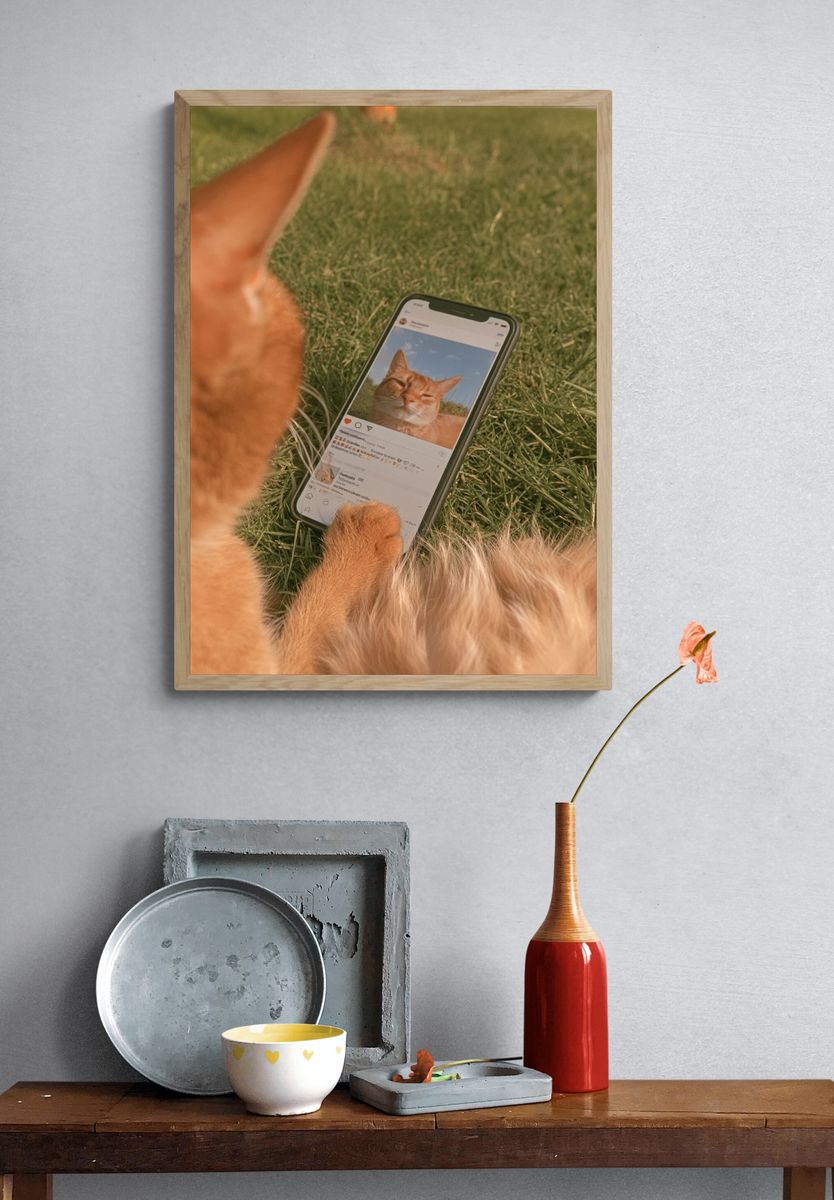 Cat Selfie Photography Poster. — room view 3