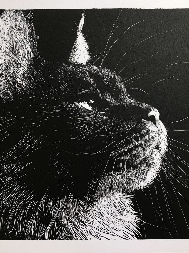 Black Cat Portrait Print. poster detail
