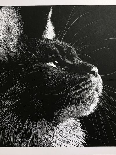 Black Cat Portrait Print. poster
