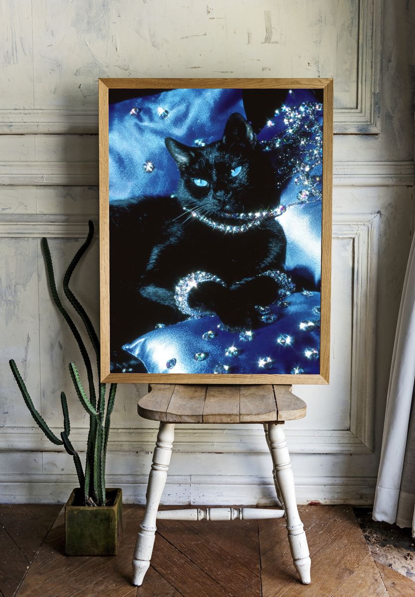 Elegant Black Cat — Photography Print room preview