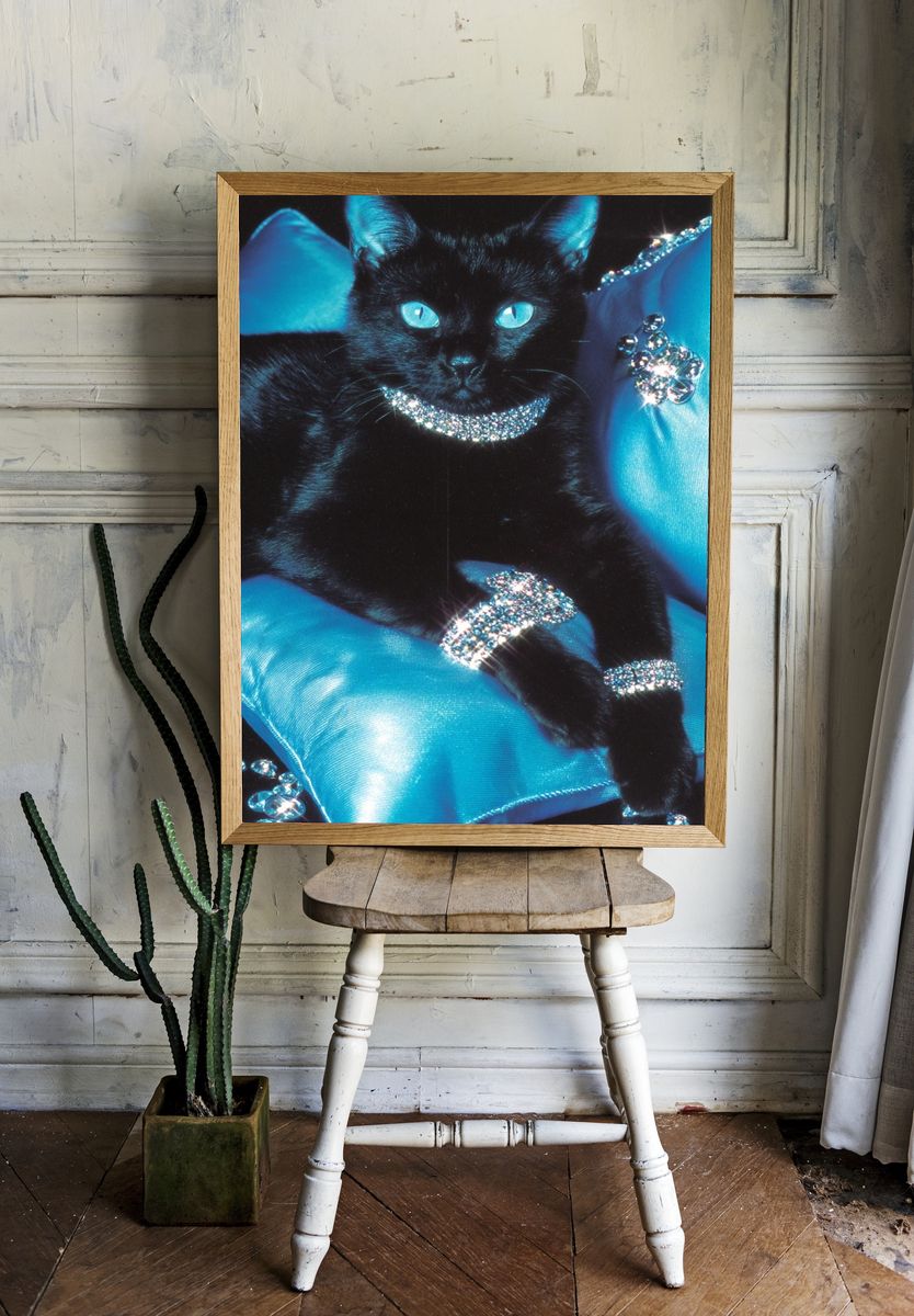 Glamorous Black Cat — Photography Print room preview