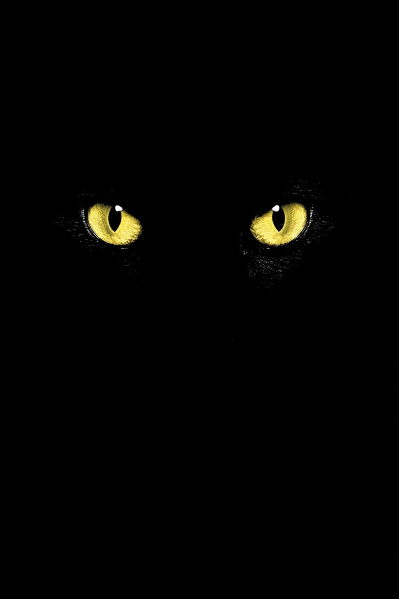 Mystical Cat Eyes — Illustration Print. poster detail